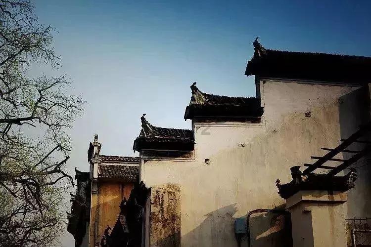 小猫钓鱼开船版最新版下载